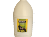 Shampoo Antisséptico Horse Matacura 5L